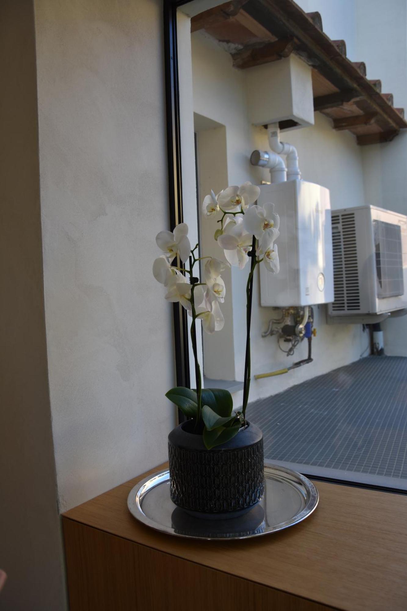 Il Giardino Di Dinda Apartment Arezzo Exterior foto